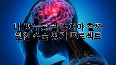 내 편두통, 뭘 먹어야 할까? 원인 식품 찾기 프로젝트